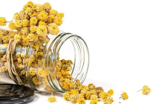 The Critical Role of Liver Health in Hormonal Balance and Reproductive Well-being