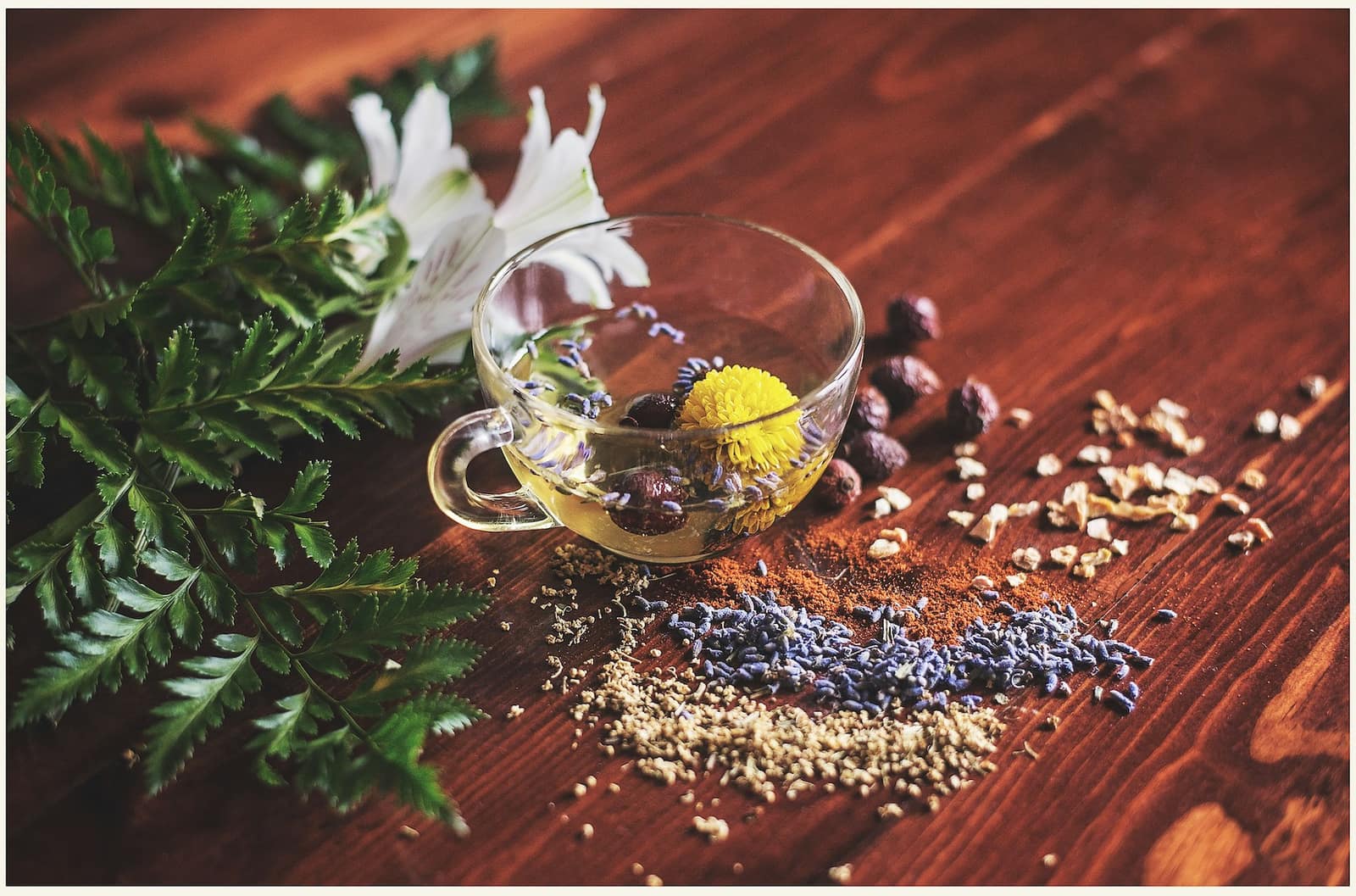 Dandelion-Burdock Tincture for Liver Health
