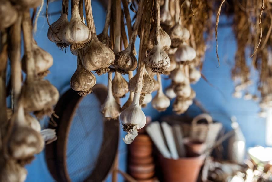 Pickled Garlic for Improving Cardiovascular Health