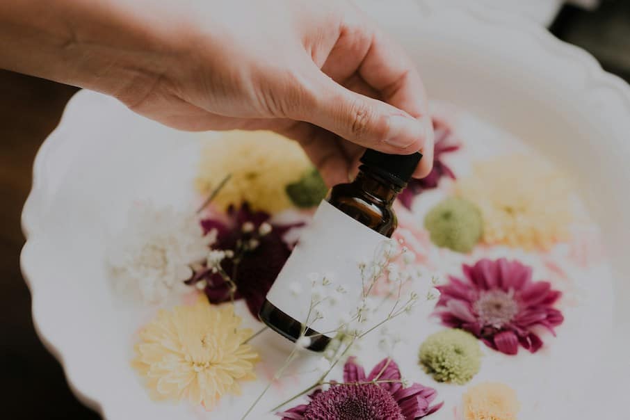 What Is a Medicinal Herb?