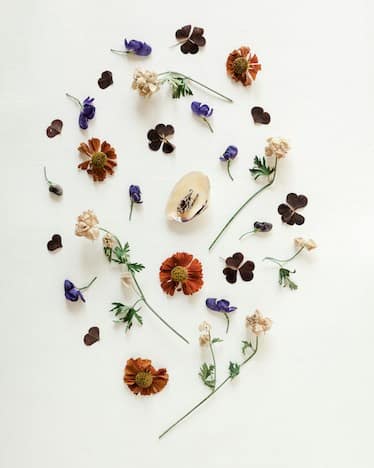 Reproductive Health herbs