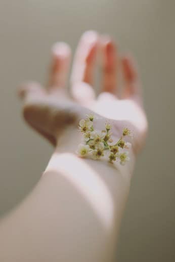 Skin and Tissue Health herbs